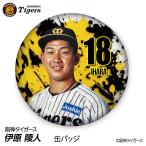  Hanshin Tigers #18... человек жестяная банка значок ( лицо дизайн ) 2026 год ( почтовая доставка соответствует возможно ) ( Professional Baseball лампочка . Hanshin вентилятор bachi.. игрок жестяная банка bachi)
