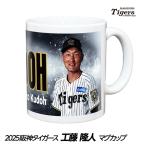 阪神タイガース #76 工藤隆人ファーム