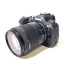 EOS R6 Mark II RF24-105 IS STM