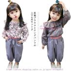 子供服 セットアップ 女の子 キッズ 上下2点セット ブラウス 花柄 ガールズ 可愛い 長ズボン 長袖 フリル襟 * ロングパンツ ベビー服 おしゃれ