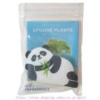 スポンジプランツどうぶつ3柄アソー...