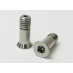 EGWORKS　ULTRA-Ti　高強度64チタンボルト　ディレーラーケージ用　2本セット