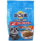  Uni * очарование .. изначальный .. полный . быть внимательным кошка для 2.0KG