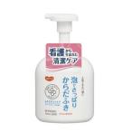 ピジョンタヒラ　ハビナース　泡でさっぱりからだふき　グリーンフローラルの香り　500ML　清拭料