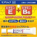 【第3類医薬品】モアリップＮ　8g