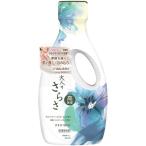 Ｐ＆Ｇ　大人のさらさ　洗濯洗剤ジェル　本体　600g