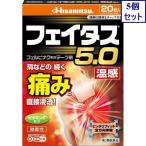 5 шт. комплект *[ no. 2 вид фармацевтический препарат ]feitas5.0 температура чувство 20 листов [ собственный metike-shon налоговая система объект товар ].... бесплатная доставка 