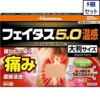 5 шт. комплект *[ no. 2 вид фармацевтический препарат ]feitas5.0 температура чувство большой размер размер 20 листов [ собственный metike-shon налоговая система объект товар ].... бесплатная доставка 