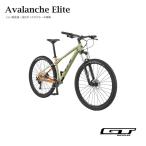 在庫有り　AVALANCHE ELITE V2（アバランチェエリート V2） GT(ジーティ)　27.5/650B　MTB・マウンテンバイク　送料プランB