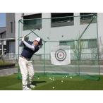 [ юридическое лицо sama адресован рассылка. бесплатная доставка ] сетка для гольфа GT-200 без изменений тип юг Британия промышленность Golf Target серии [0]