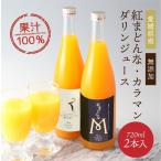 ジュース 紅まどんな カラマンダリンジュース 愛媛県産 720×2本 送料別途 ストレート 紅マドンナ なつみ ギフト セット 母の日 プレゼント 母の日ギフト