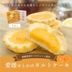 ショッピングせとか タルト ケーキ 愛媛せとかのタルトケーキ 8個入り 送料別途 愛媛県産 取り寄せ ギフト