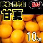 愛媛西宇和産　甘夏　訳あり家庭用　送料無料　１０ｋｇ