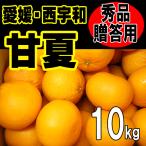 愛媛西宇和産　甘夏　秀品ギフト贈答用　送料無料　１０ｋｇ　産地直送