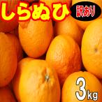 愛媛 西宇和産 デコポ�