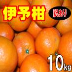 愛媛 西宇和産 伊予柑 訳あり 家庭用 10kg 送料無料 産地直送