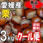 クール便　愛媛の栗　生栗　秀品　３Ｌサイズ　３ｋｇ　送料無料