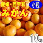 愛媛みかん 小玉みかん 小玉 小粒 10kg 愛媛 西宇和 送料無料 2s 3s