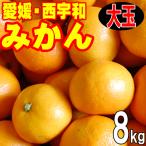 愛媛みかん 大玉みかん 8kg 愛媛 西宇和 送料無料 3Lまたは2Lサイズ