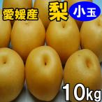 幸水梨・豊水梨・新高梨　小玉　訳あり家庭用　１０ｋｇ　送料無料　産地直送