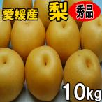 幸水梨・豊水梨・秋月梨・新高梨 秀品ギフト贈答用 10kg 送料無料 産地直送