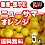 ショッピングワケあり 愛媛西宇和産　ニューサマーオレンジ（小夏　日向夏）　訳あり家庭用　５ｋｇ 送料無料　産地直送