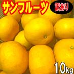 ショッピングワケあり 愛媛 西宇和産 サンフルーツ （ 新甘夏 ） 訳あり 家庭用 送料無料 １０ｋｇ