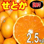 愛媛 西宇和産 せとか 訳あり 家庭用 2.5kg 送料無料