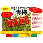 愛媛県西予市産「青梅」栽培期間中農薬不使用・無農薬 10kg 送料無料