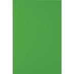 TRUSCO マグネットシート艶有200X300 緑 MSA2GN トラスコ