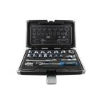 シグネット 3/8DR 19PC ショートソケットセット（6角） (12134)(4712818939446) SIGNET