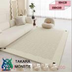 760円OFFクーポン ラグ ラグマット 2畳 厚手 北欧 おしゃれ カーペット オールシーズン ホットカーペット対応 滑り止め付 モダン 防ダニ 抗菌 防臭 防音 耐摩耗