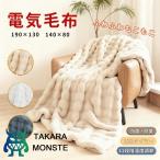 ふわとろ毛布 掛け敷き 毛布ブランケット もこもこ 即暖 保温 電気毛布 ひざ掛け シングル 電気ブランケット 洗える ふわもこ 2枚合わせ毛布 厚手 あったかい
