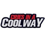  прохладный . способ . плач . вышивка ввод утюг приклеивание /.. установка нашивка 