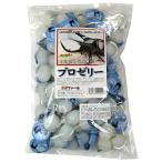 KB farm Pro jelly (16g 100 piece entering ) rhinoceros beetle * stag beetle for 