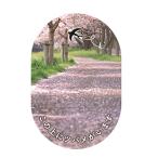  будущее промышленность swallow поддержка пол сиденье SSF-FL1