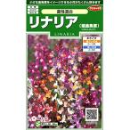 sakata. tane реальный . цветок 6879lina задний (. львиный зев большой ) высота . смешивание 00906879