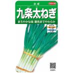 sakata. tane реальный . овощи 3874 9 статья futoshi лук порей лук-батун 00923874