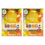  цветок ... фруктовое дерево ... земля 12L×2 пакет 