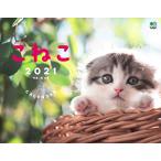 こねこ カレンダー 壁掛け(2021) ([カレンダー])