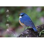 身近な野鳥カレンダー2021(壁掛け) ([カレンダー])