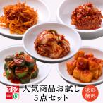 ショッピングお取り寄せグルメ お取り寄せグルメ 韓国食品 国産キムチ 李朝園 オイキムチ カクテキ キムチ5点 お試しセット 計約1Kg（ 白菜キムチ ／大根／ 胡瓜／チャンジャ／スルメ）