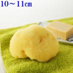 海綿スポンジ シルク種 ライトイエロー色 S 乾燥時10〜11cm ボディケア 洗顔 美肌