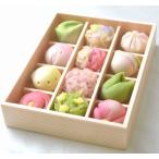 春の12種 特選上生菓子