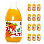  мандарин сок 500ml бутылка ×12 шт. входит 