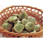 боб садовый (2L) 500g ( примерно 100 штук ) 39301