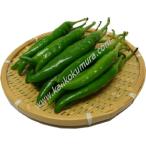 .. сырой синий красный острый перец 200g