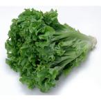  местного производства Sunny lettuce 1 коробка 5kg