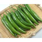 [ Корея прямой импорт ].. синий красный острый перец 1kg( Корея еда, овощи )