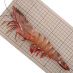  jumbo иметь голова si- Tiger море . примерно 125g/ хвост 4 хвост вакуум упаковка 